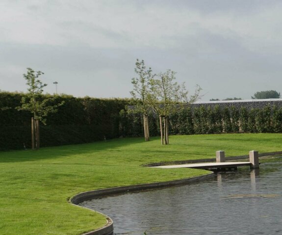 plataan-brakel-1484831784.jpg