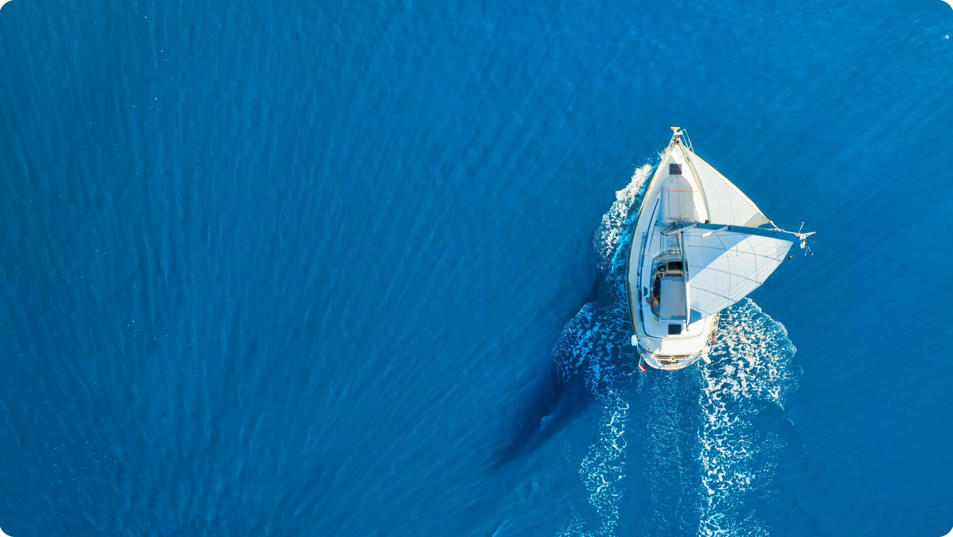 pexels-yuting-gao-1567069 1.jpg